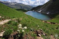 049 Sentiero dei fiori - Lago Branchino